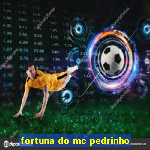 fortuna do mc pedrinho