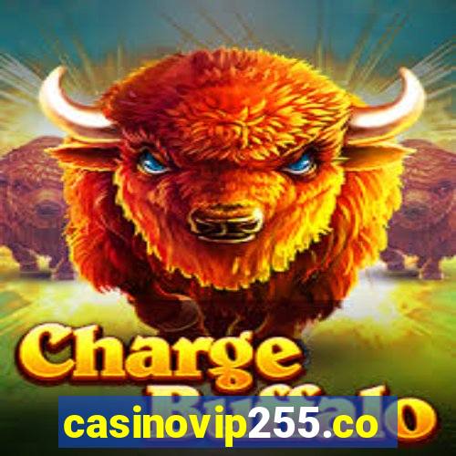 casinovip255.com