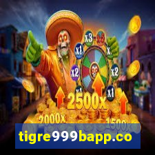 tigre999bapp.com