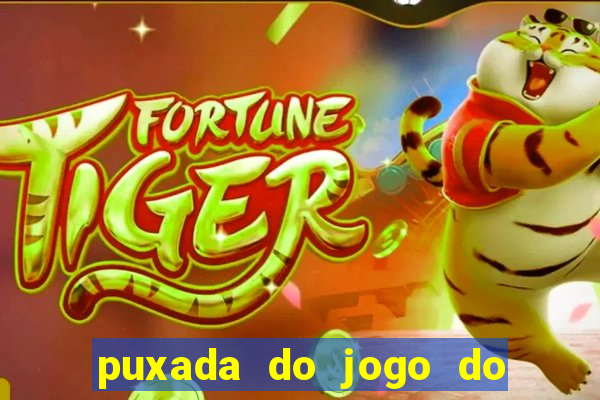 puxada do jogo do bicho da sueli